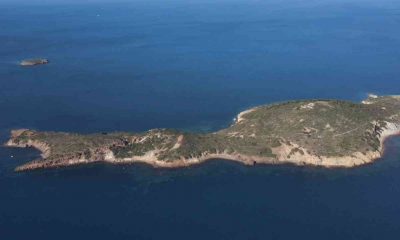 Ayvalık’ta Kara Ada’nın kesin koruma alanı ilan edilmesi sevinci