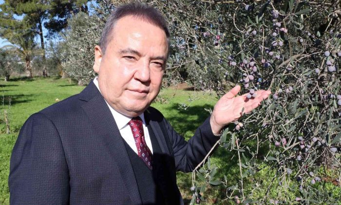 Başkan Böcek: “Zeytin Park’ı korumak boynumuzun borcudur”