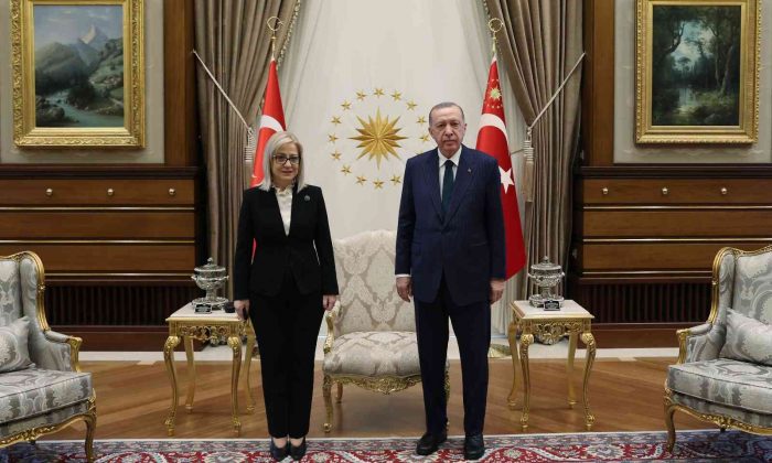 Cumhurbaşkanı Erdoğan, Arnavutluk Meclis  Başkanı Nikolla’yı kabul etti
