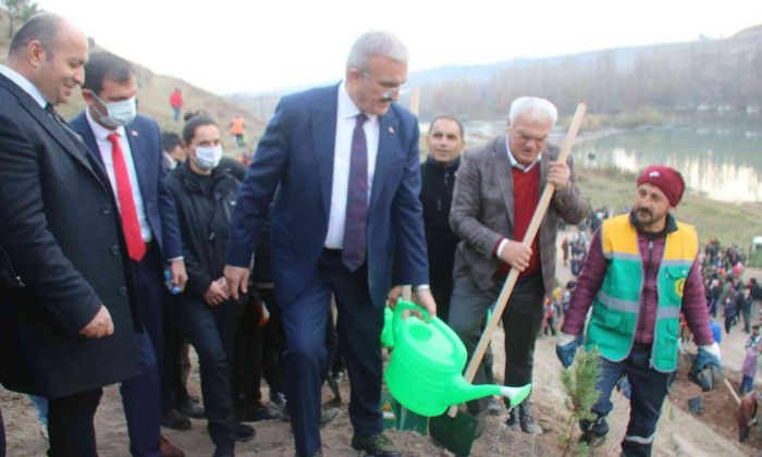 Diyarbakır Fetih 1382 Hatıra Ormanı’nda 10 bin 918 ağaç dikildi