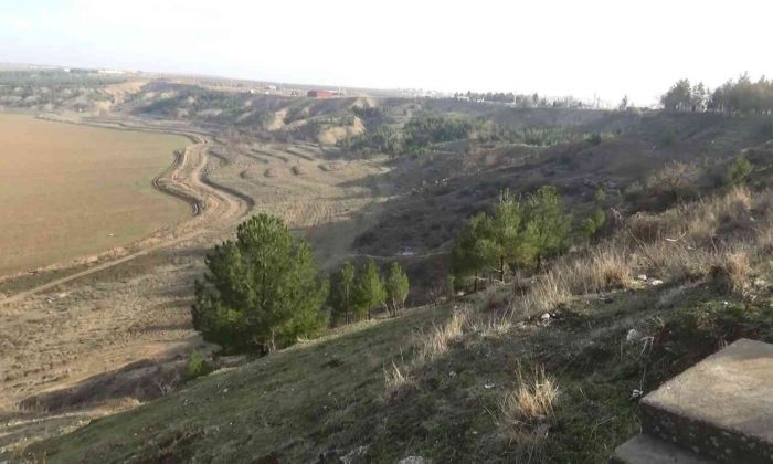 Diyarbakır’da Devlet Bahçeli Hatıra Ormanı’nda şehitlerin adını taşıyan 10 bin fidan dikilecek