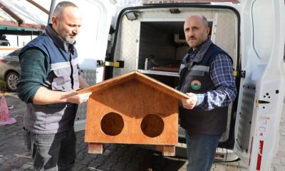 Kedi Evi projesi İlkadım’da hayat buldu