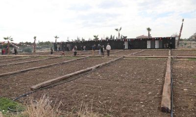 Mezitli Belediyesi, 9’uncu hobi bahçesini açtı