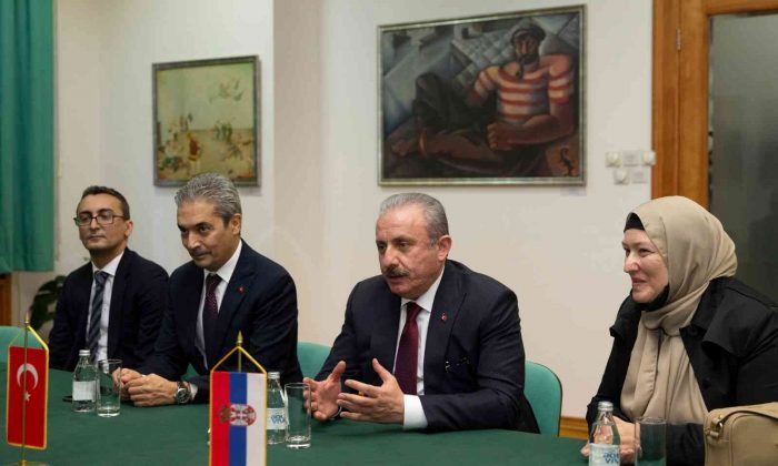 TBMM Başkanı Şentop: “Türkiye ve Sırbistan arasındaki dostluk bizim için çok önemli”