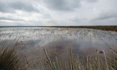 Vali Dağlı: “Su potansiyelimizi etkili ve verimli kullanmalıyız”
