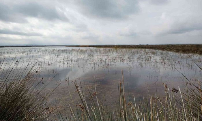 Vali Dağlı: “Su potansiyelimizi etkili ve verimli kullanmalıyız”