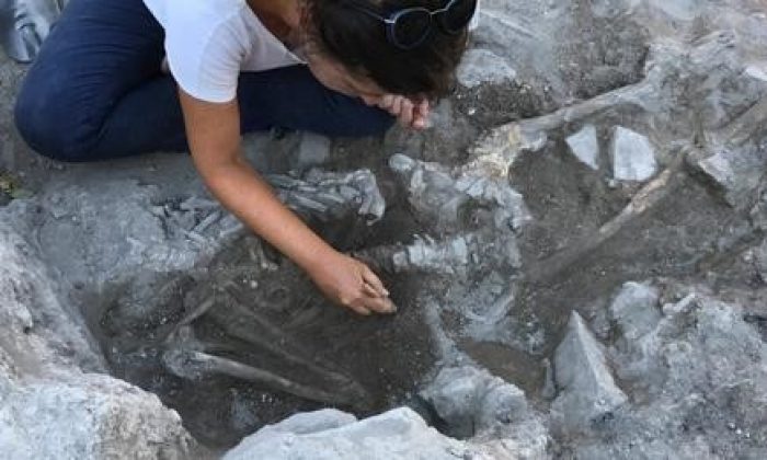 4 bin yaşında insan ve köpek iskeleti bulundu, makalesi ses getirdi