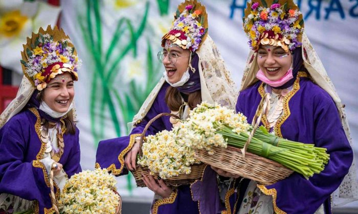 4. Karaburun Nergis Festivali renkli başladı