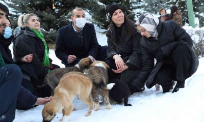 AK Parti’den can dostlar için büyük seferberlik