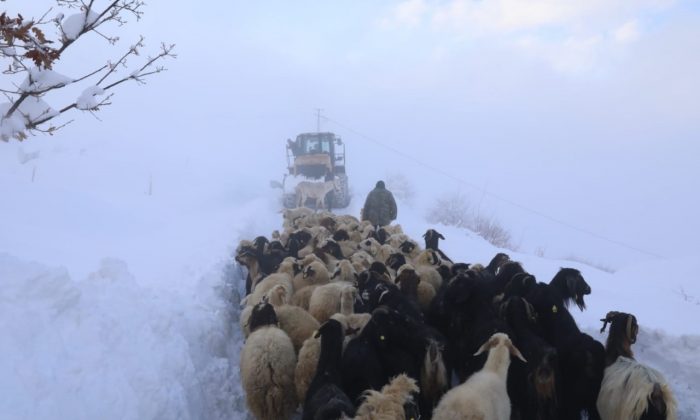Beydağı’nı aşan Battalgazi Belediyesi ekipleri, üretici ve hayvanlarını kardan kurtardı