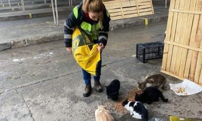 Buharkent’te can dostları unutulmadı