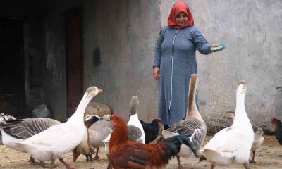 Diyarbakır’da kırsal mahallenin ‘tek kadın muhtarı’ koltuğu eşinden aldı