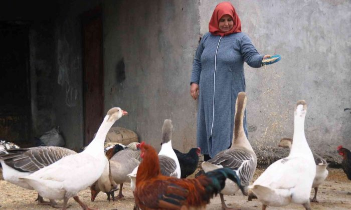 Diyarbakır’da kırsal mahallenin ‘tek kadın muhtarı’ koltuğu eşinden aldı