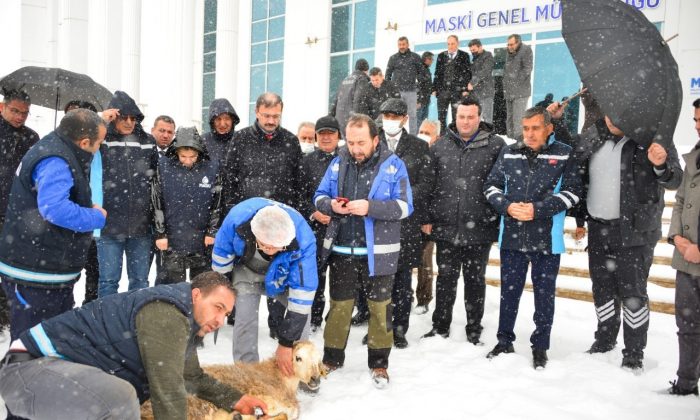 Malatya’da yoğun kar için şükür kurbanı