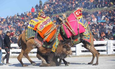 Selçuk’ta “40 Yılın Güreşi”