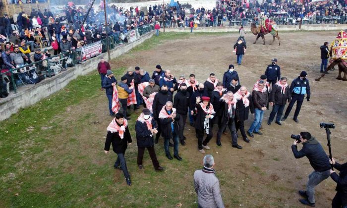 Sultanhisar’da 180 pehlivan deve güreş tuttu