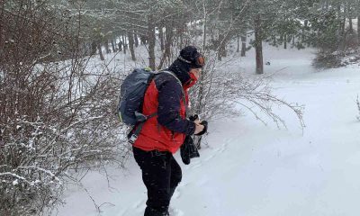 Tipiye aldırmadılar, yaban hayvanları için doğaya yem bıraktılar