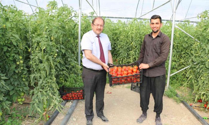 Uzman Eller Projesi başladı